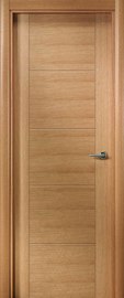 Puerta modelo VP5  ciega 